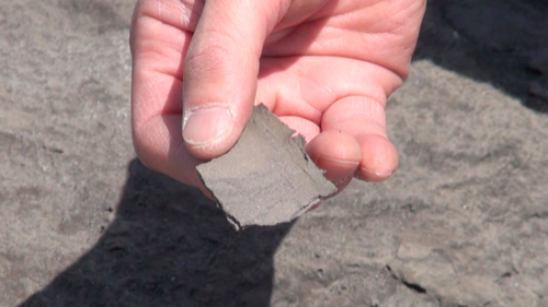濃レアアース湖岸の土。指でつまむとサクっと剥がれる（2013年5月22日）