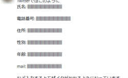 【Fact Check】「Twitter上で個人情報を入力すると、モザイクがかかる」は虚偽