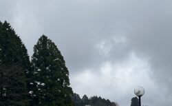 【FactCheck】「雷」に「警報」はなぜ無いのか？