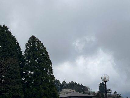 【FactCheck】「雷」に「警報」はなぜ無いのか？